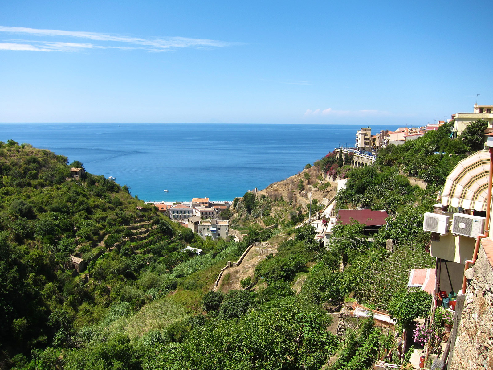 Scilla